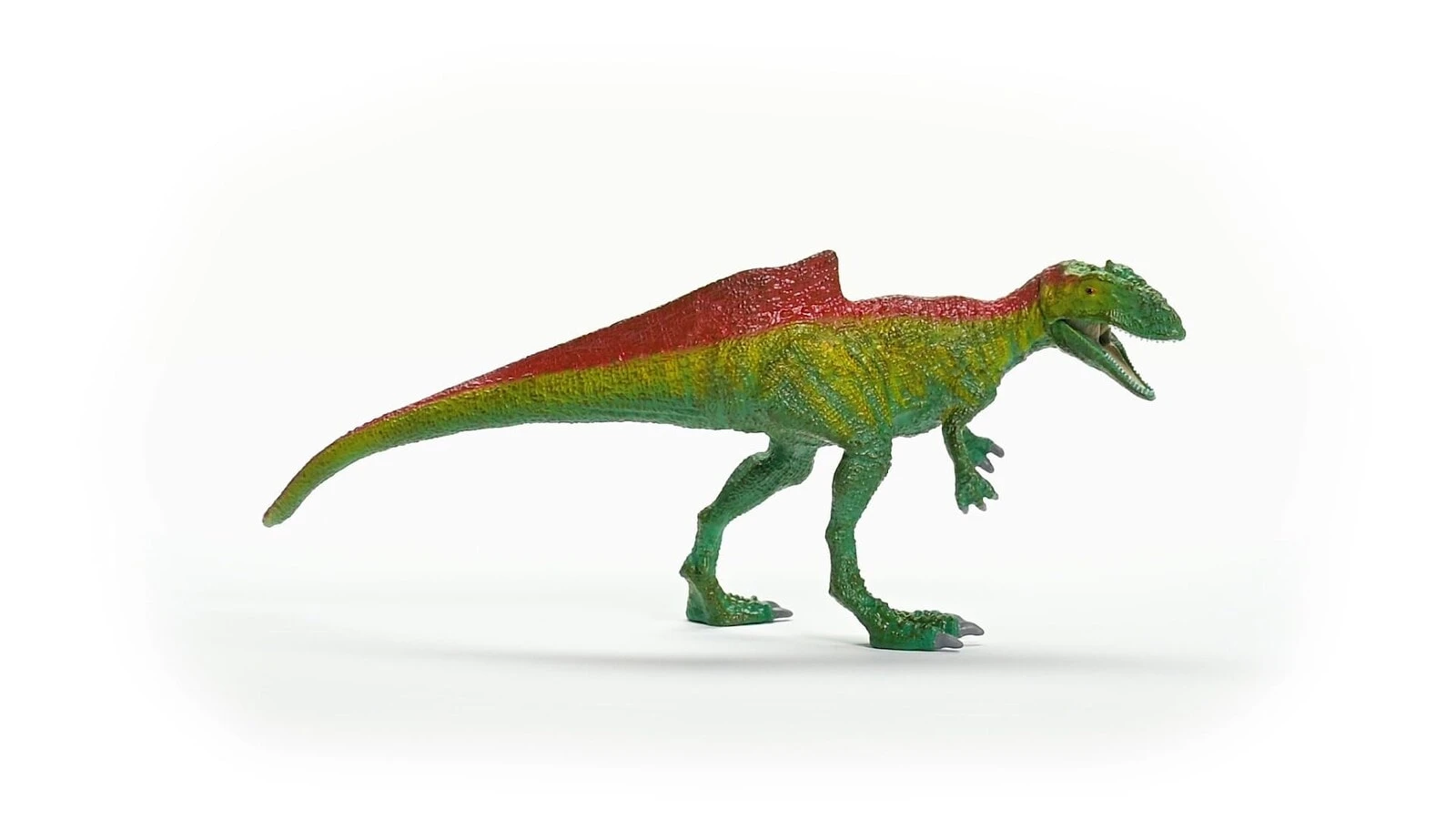 Concavenator