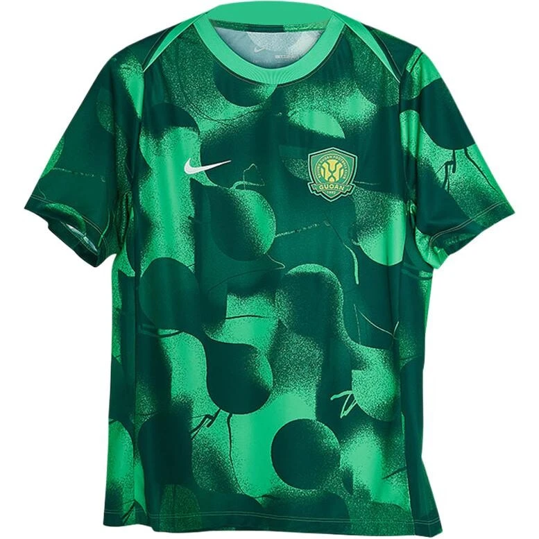 Nike Soccer Jerseys Men's Green Moderate