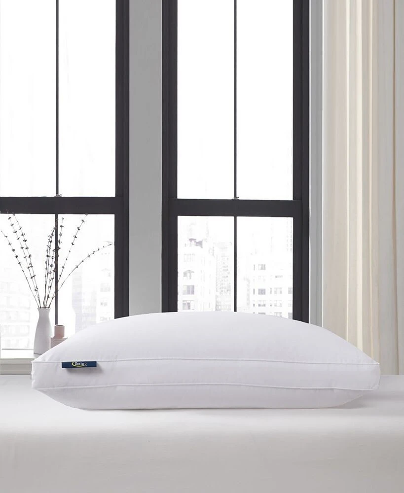 Serta luxury European Down Soft Pillow, Standard/Queen
