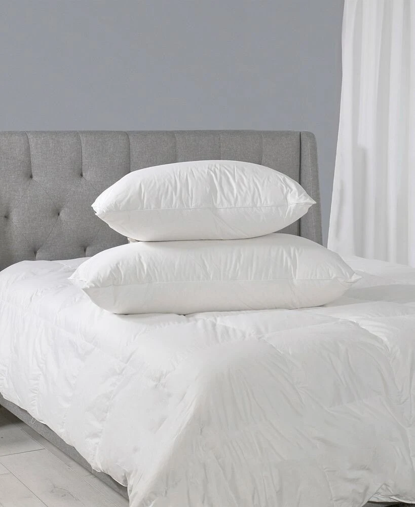 Sealy premium Down Wrap Pillow, Standard/Queen