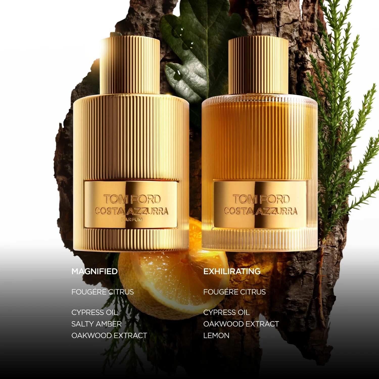 Unisex Perfume Tom Ford Costa Azzurra 100 ml