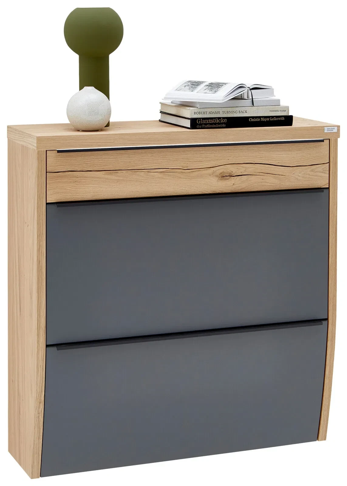 Dieter Knoll Hängeschuhschrank ARCO TREND