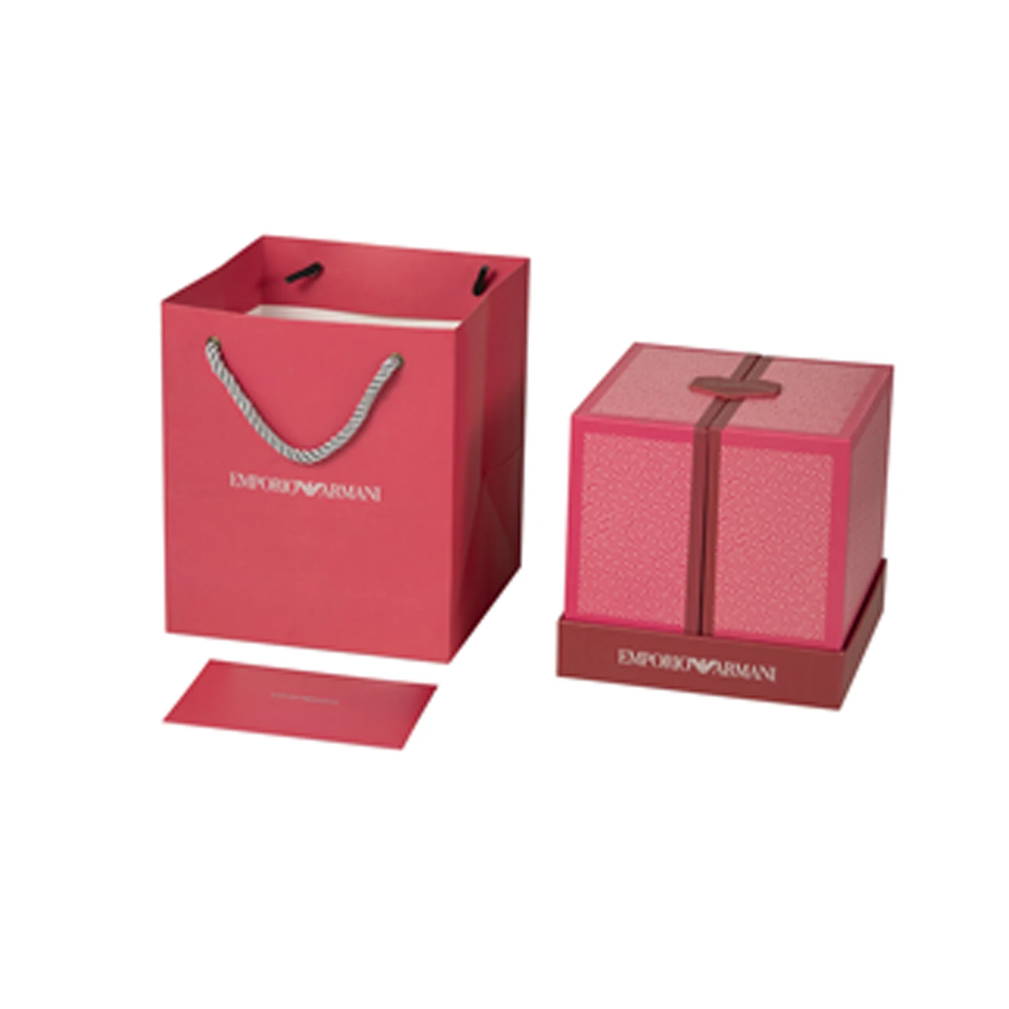 EMPORIO ARMANI Silver Earrings Women's