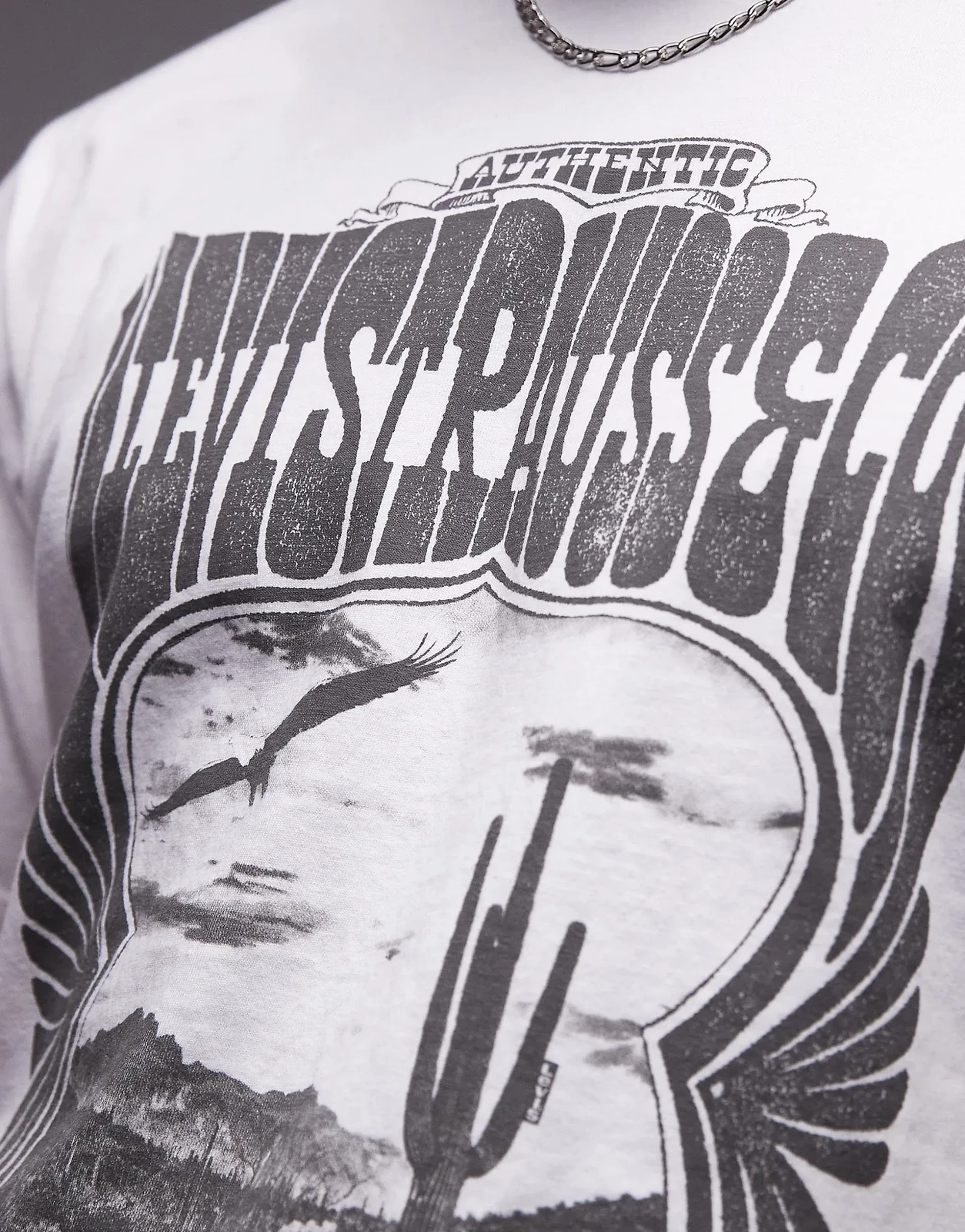 Levi´s ® Vintage Fit Graphic kurzarm-T-shirt
