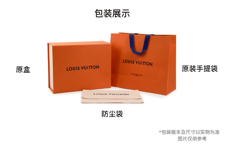 LOUIS VUITTON Around Me Pm Monogram