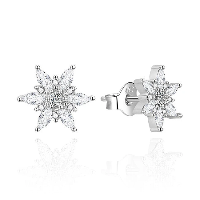Charming silver earrings Snowflakes AGT-E003PW