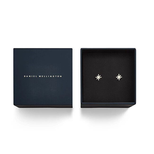 Sparkling earrings with cubic zirconias Stars Mirelle DW00401611
