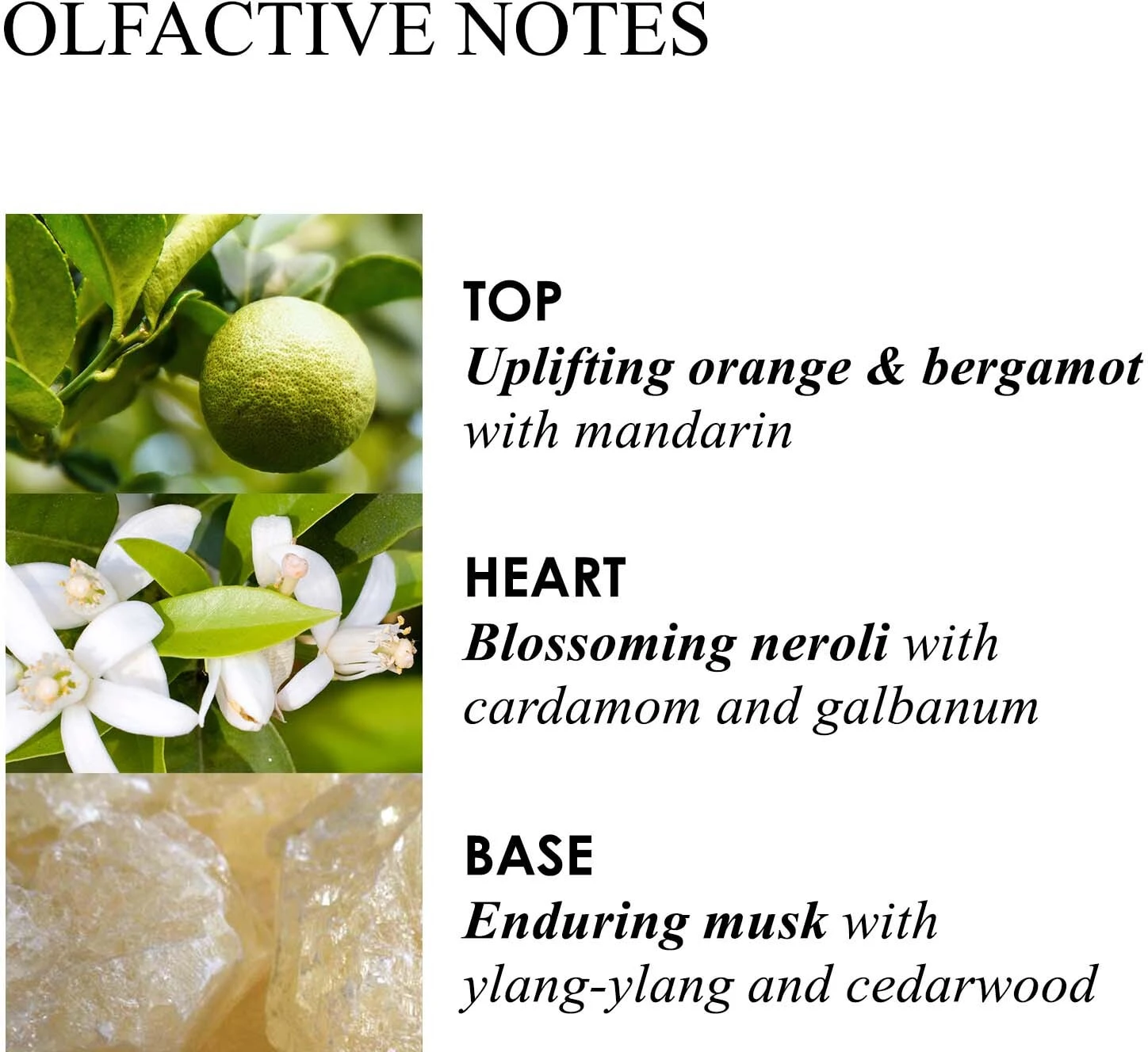 Orange & Bergamot Fine Liquid Hand Wash Glass Bottle