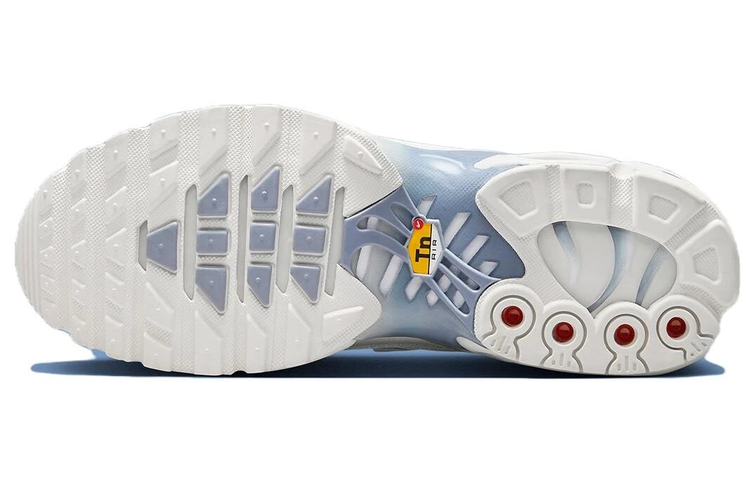 Nike Air Max Plus Ashen Slate Women's