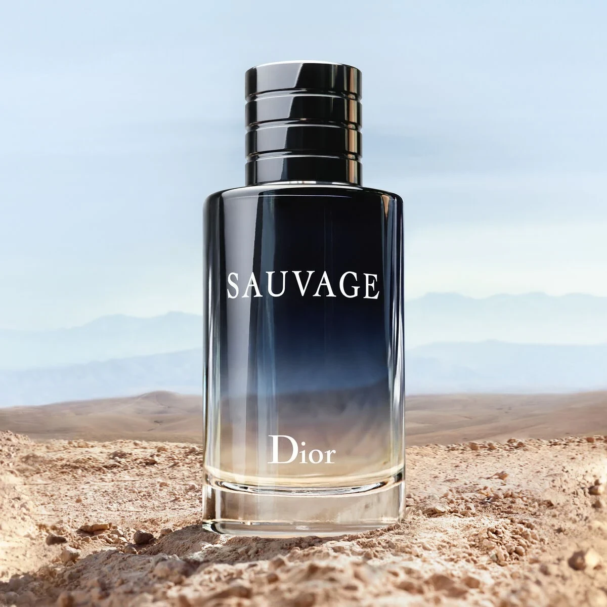 Sauvage Eau de Toilette Eau de Toilette